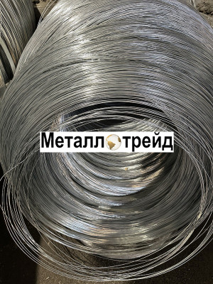 Проволока нержавеющая EN 10270-3 1.4310 AISI 302 3 мм
